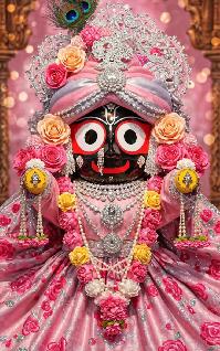 Dhara Dhara Bhai Dhara ( Ratha Yatra Special Odia Bhajan Mix 2026 ) Dj Susovan Remix